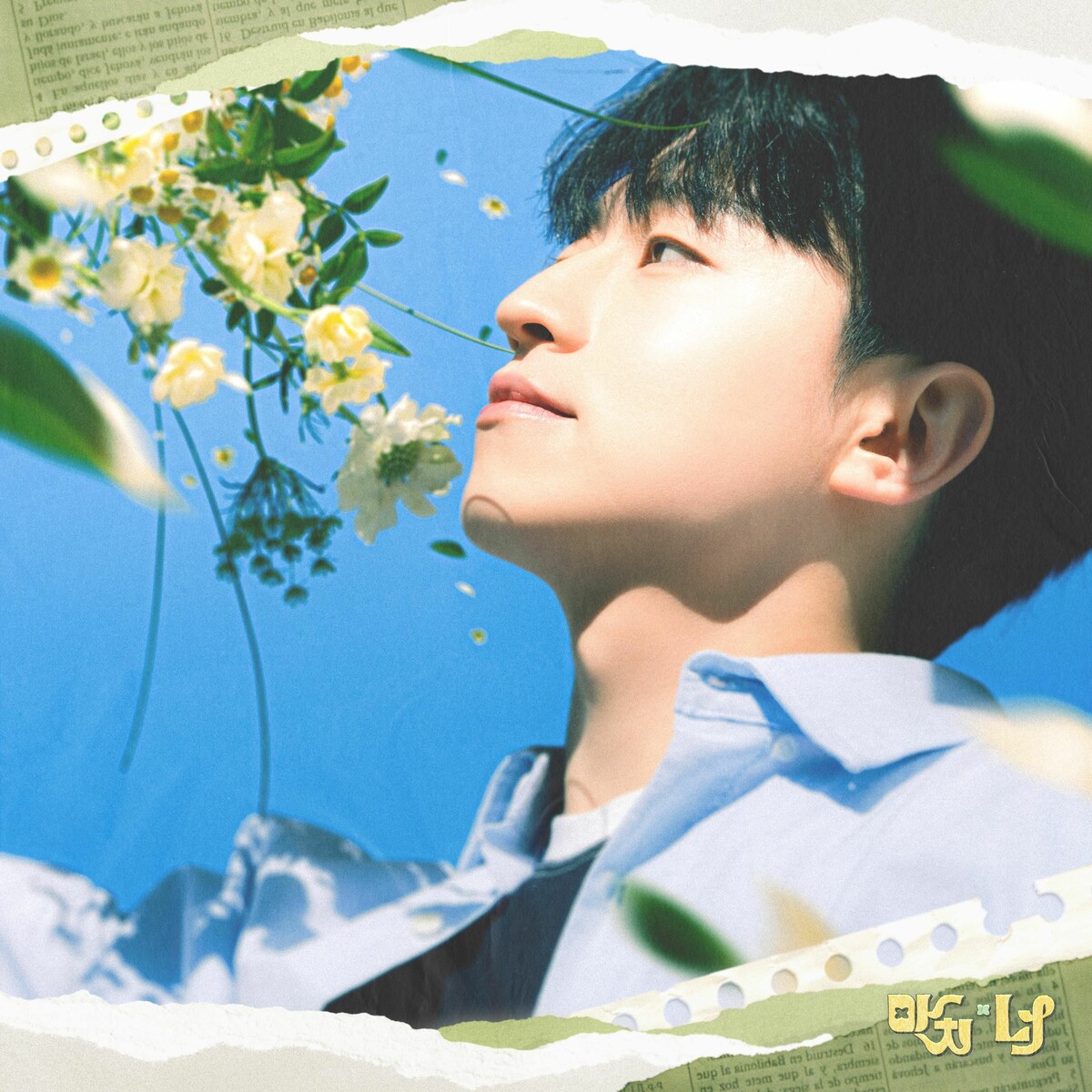 Image Cover